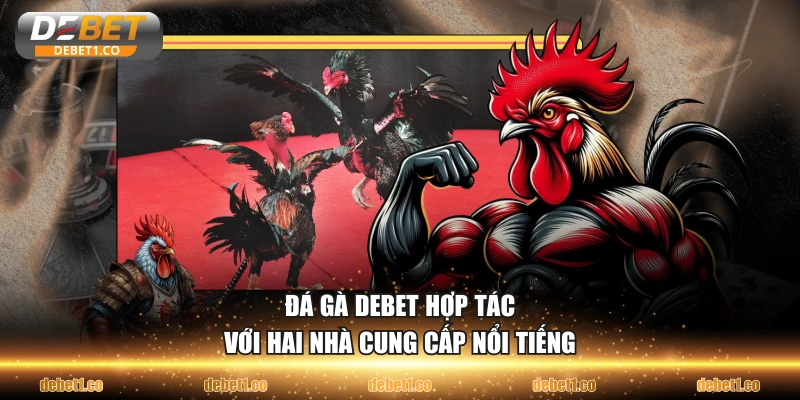 Đá gà DEBET hợp tác với hai nhà cung cấp nổi tiếng